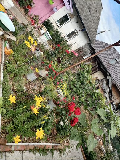 Дом 50 м² на участке 15 сот.