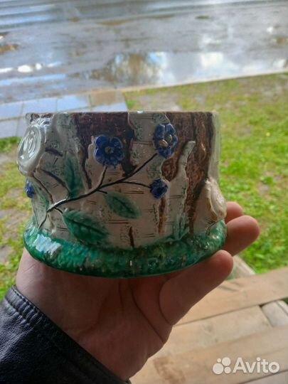 Сахарница кузнецов редкая