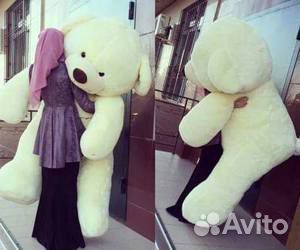 Плюшевые Медведи