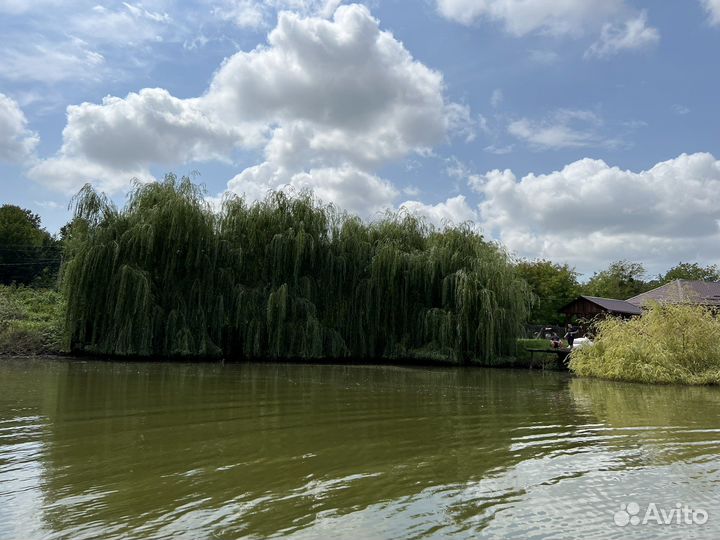 База отдыха рыбалка