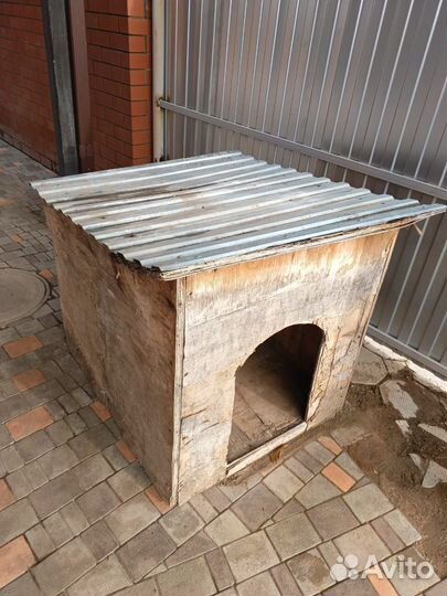 Собачья будка