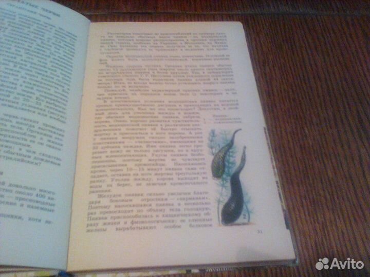 Молис.Книга для чтения по зоологии.1981 год