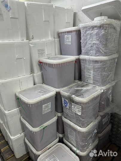 Икра красная оптом