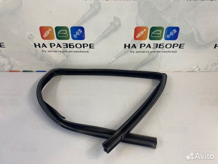 Уплотнительная резинка стекла двери задняя правая