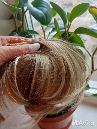 Шиньон,хвост на крабе