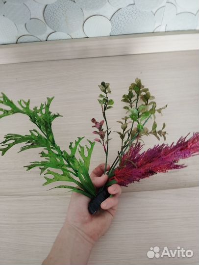 Аквариум на 50 литров