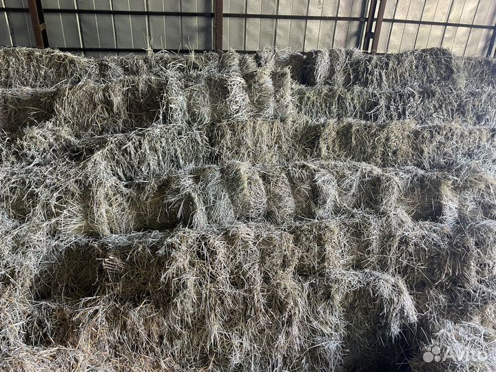 Сено в тюках