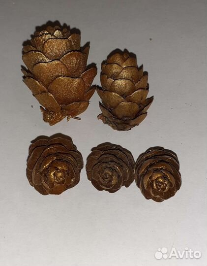 Декор,поделки из шишек,ореха, создание наборов