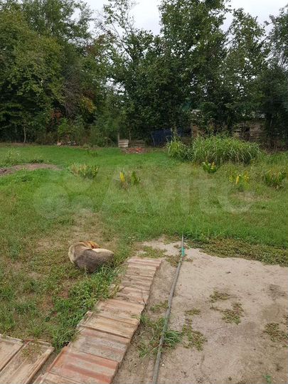 Дом 50 м² на участке 18 сот.