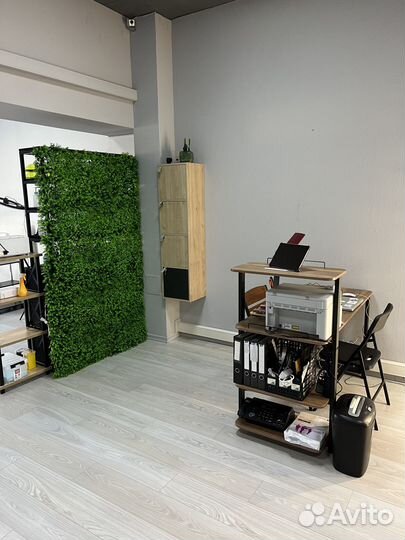 Аренда места тату студии