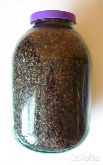 Гречневая лузга