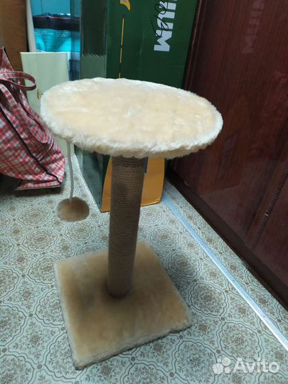 Когтеточка