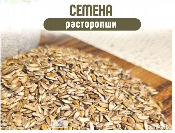 Семена рассторопши на заказ