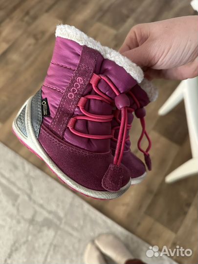 Демисезонные сапожки ботинки ecco 19р