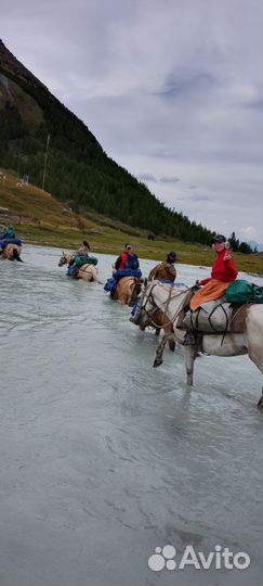 Алтай,туризм, конный поход. Гора Белуха