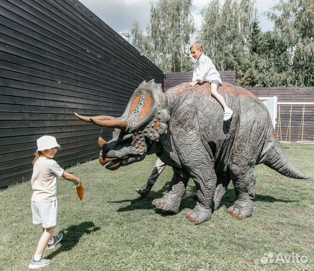 Динозавры на праздник