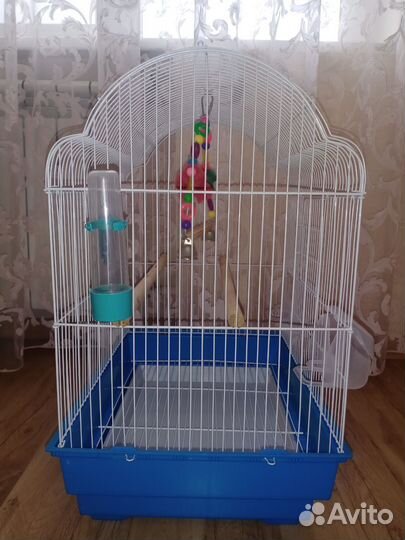 Большая клетка для птиц 47х36х57 см