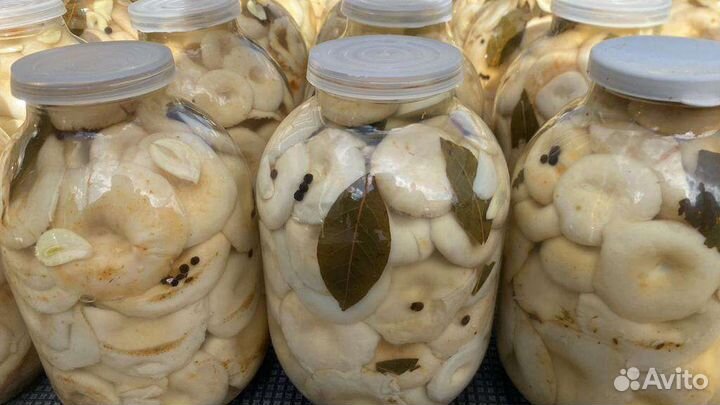 Грузди солено-вареные