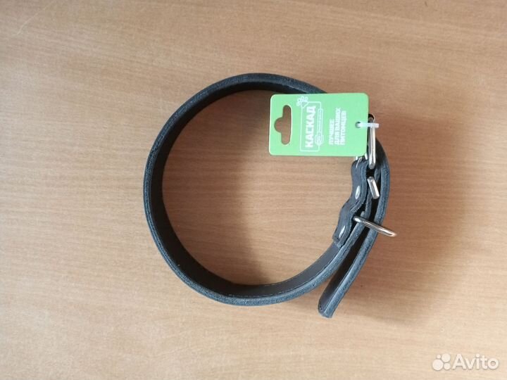 Поводок, ошейник