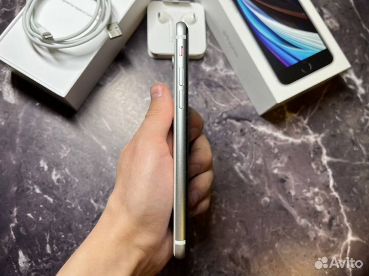 iPhone SE (2020), 64 ГБ
