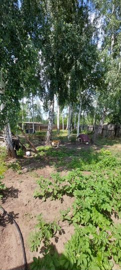 Коттедж 180 м² на участке 21 сот.