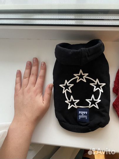 Одежда для собак и кошек