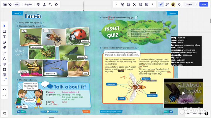Преподаватель по английскому языку