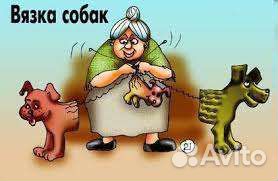 Вязка собак. Инструктор по вязке