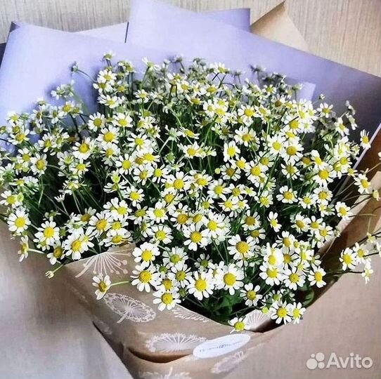 Цветы ромашки. Букеты ромашек. Цветы доставка