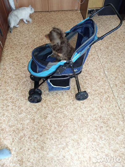Коляска для животных