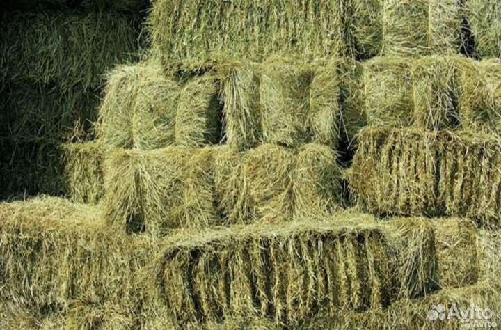 Сено
