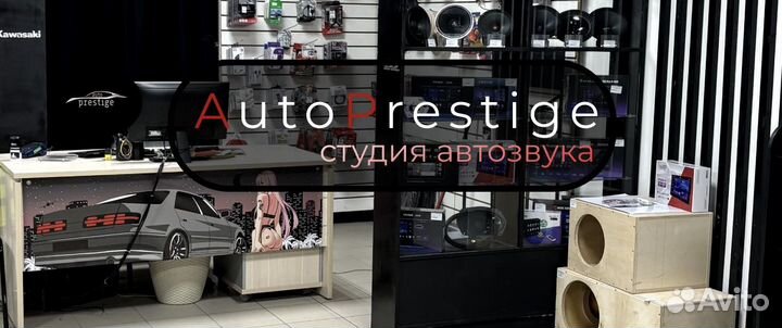 Динамики 16 DL Audio gryphon pro 165