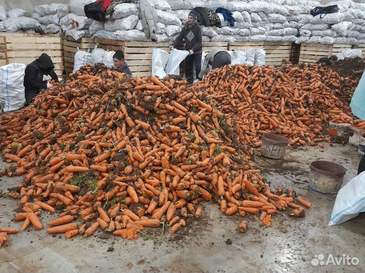 Переборщик овощей