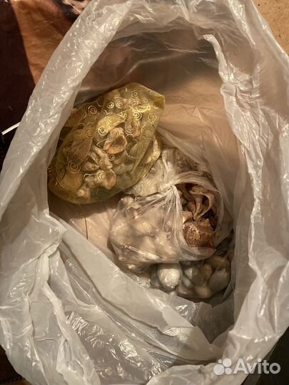 Для аквариума