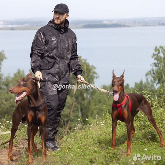 Костюм горка 5 черный питон