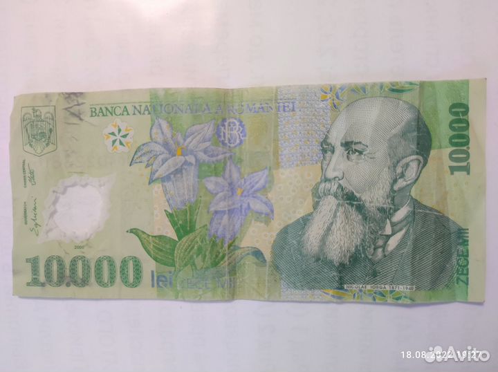 Румынский лей 2000 года