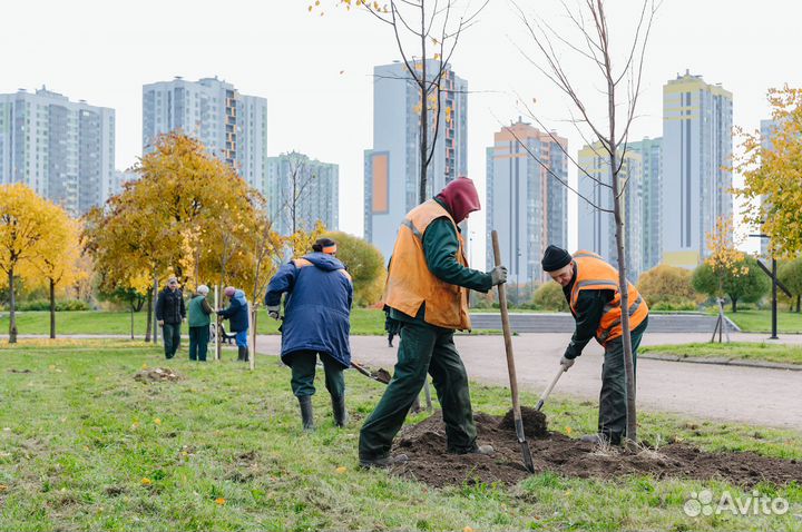 Садовник - озеленетель