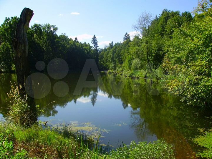 Участок 10 сот. (ИЖС)