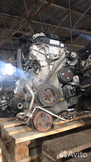 Ford Focus Двигатель 1.6;2.0 контрактный