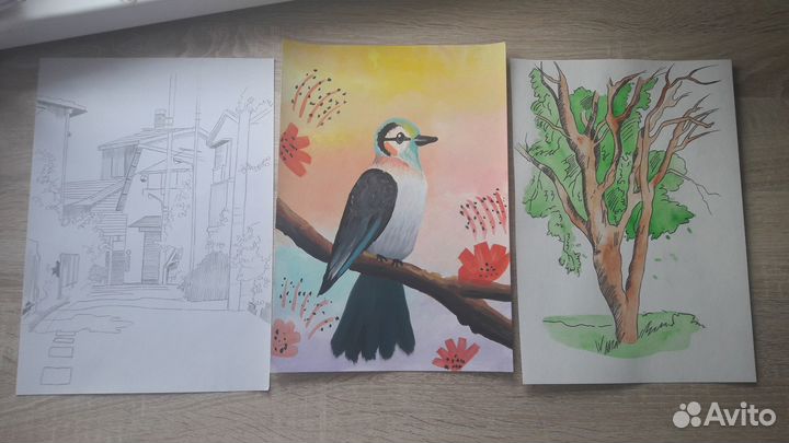 Рисунки, наброски