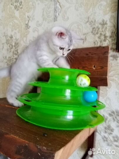 Серебристая девочка