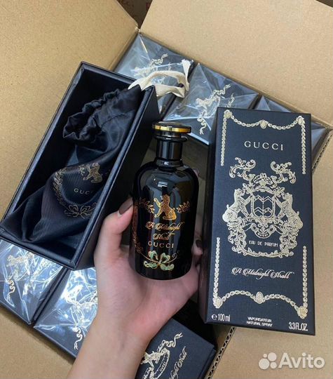 Gucci A Midnight Stroll