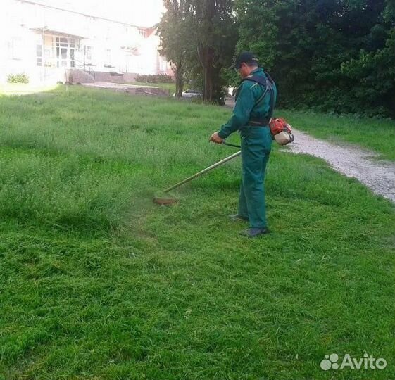 Покос травы триммером