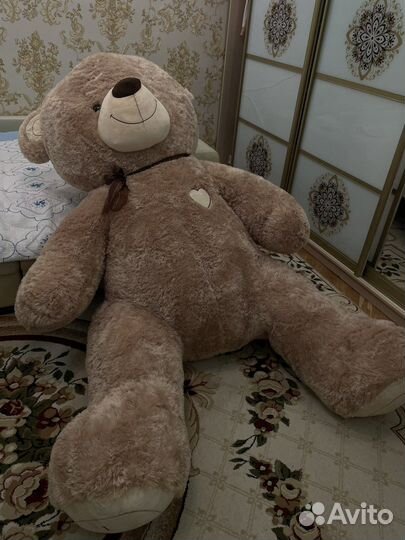 Большие плюшевые медведи
