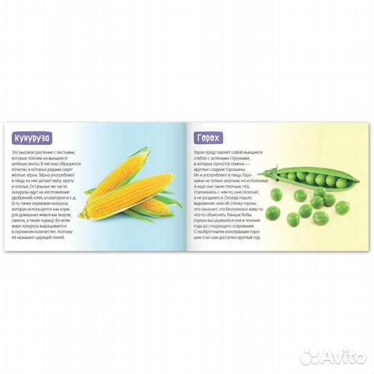 Про всё на свете - мини книги ребенку