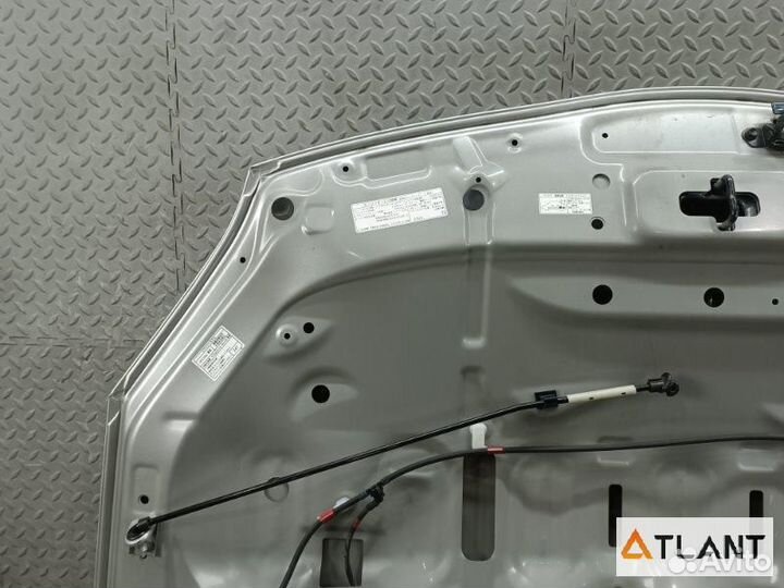 Капот toyota prius