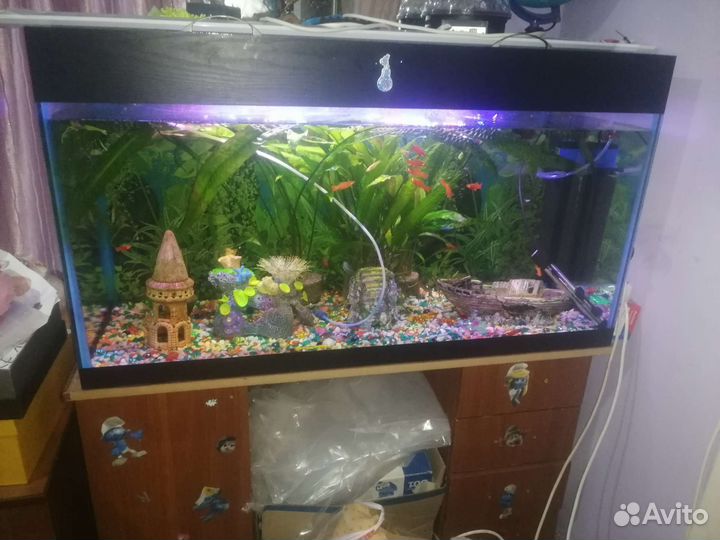 Аквариум
