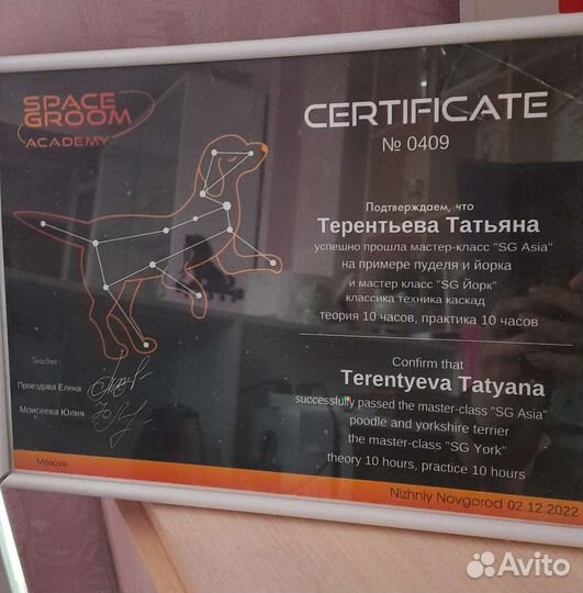 Стрижка/груминг собак и кошек на Мещере