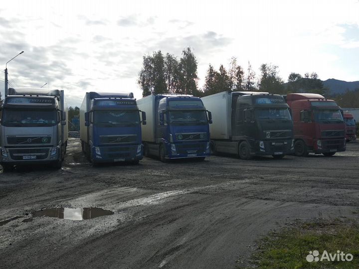 Перевозка опасных грузов (ADR) рефрижератор20-30 т