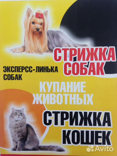 Стрижка собак и кошек. Выезд на дом